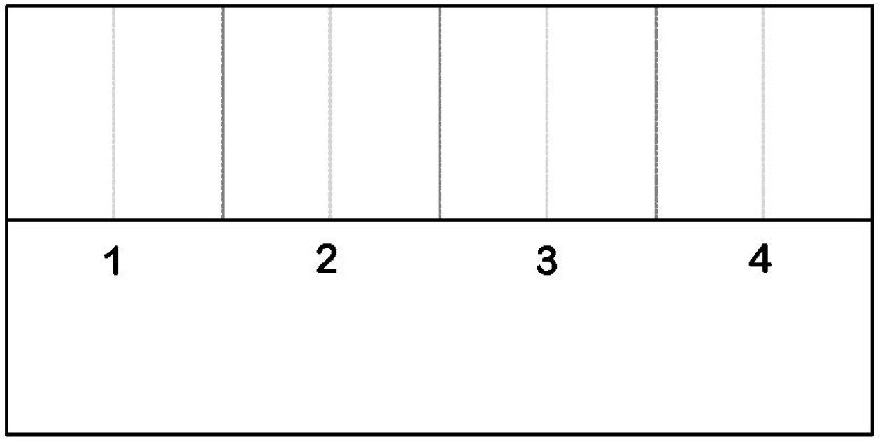 blank rhythm staff paper